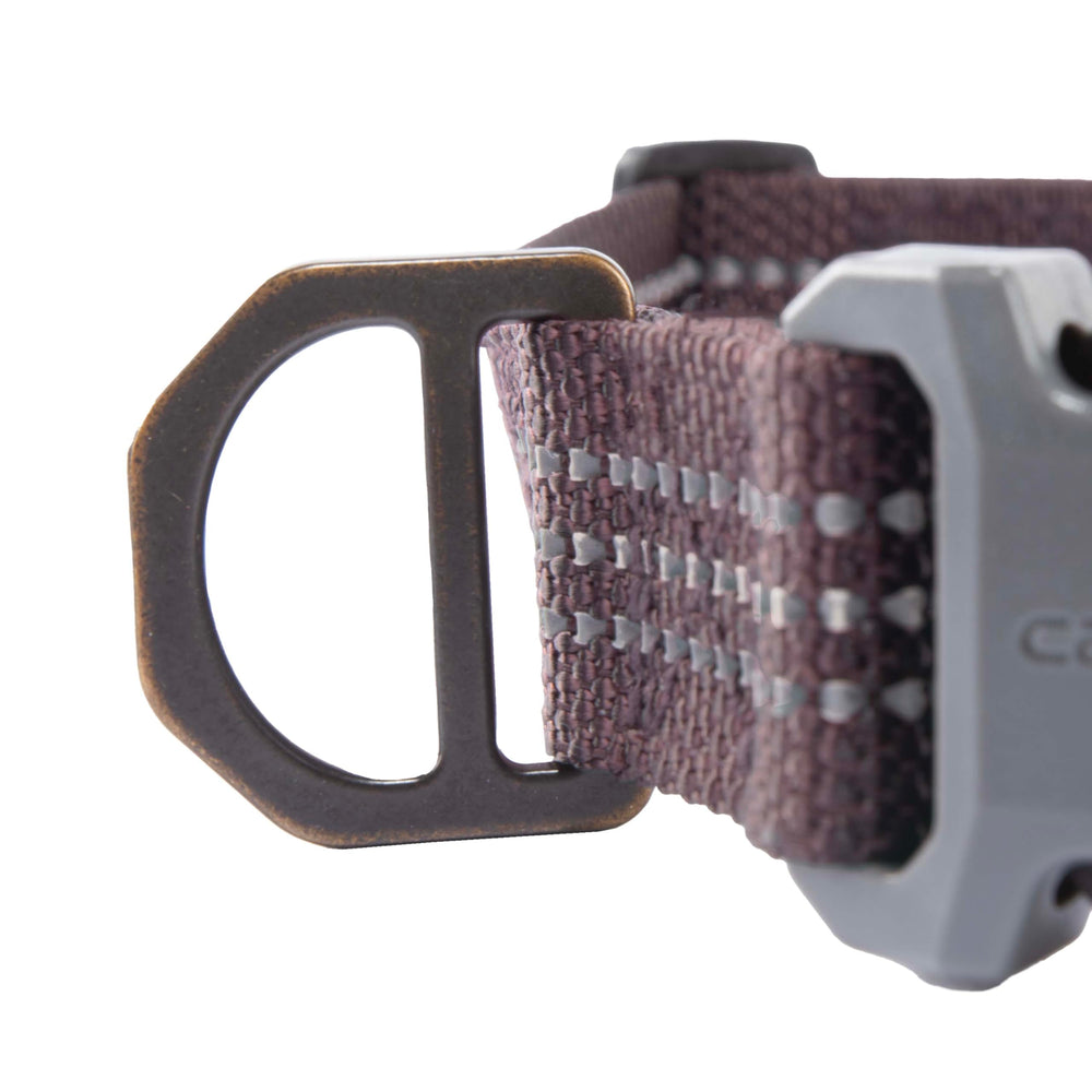 Large size collar fits 18-26 inches with adjustable strap.