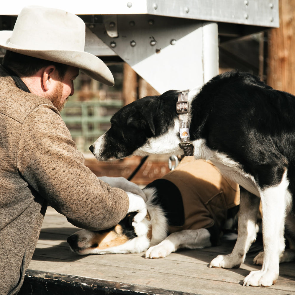 Carhartt colorways option shows workwear heritage across styles