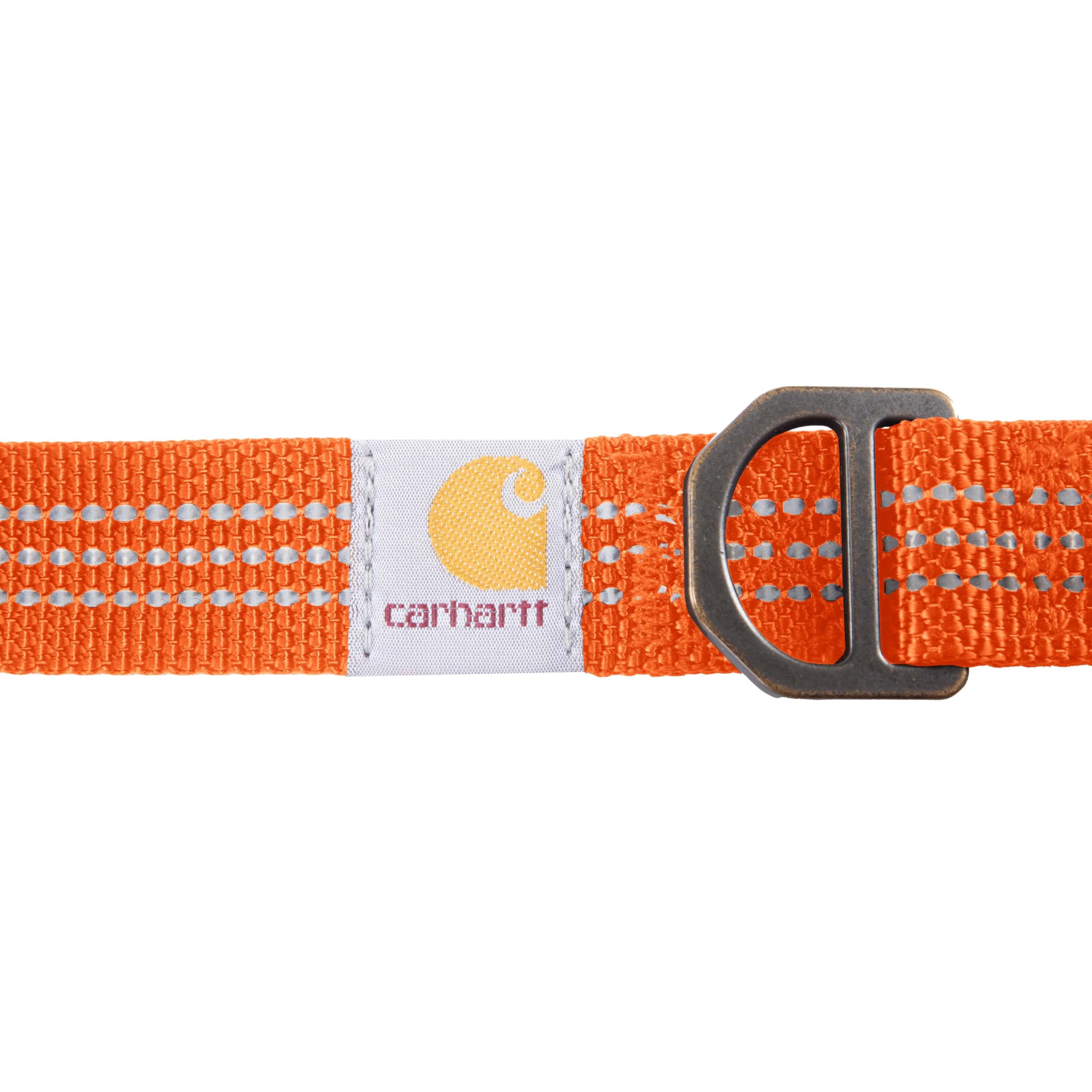 Carhartt collar D-ring with leash and ID tag slots