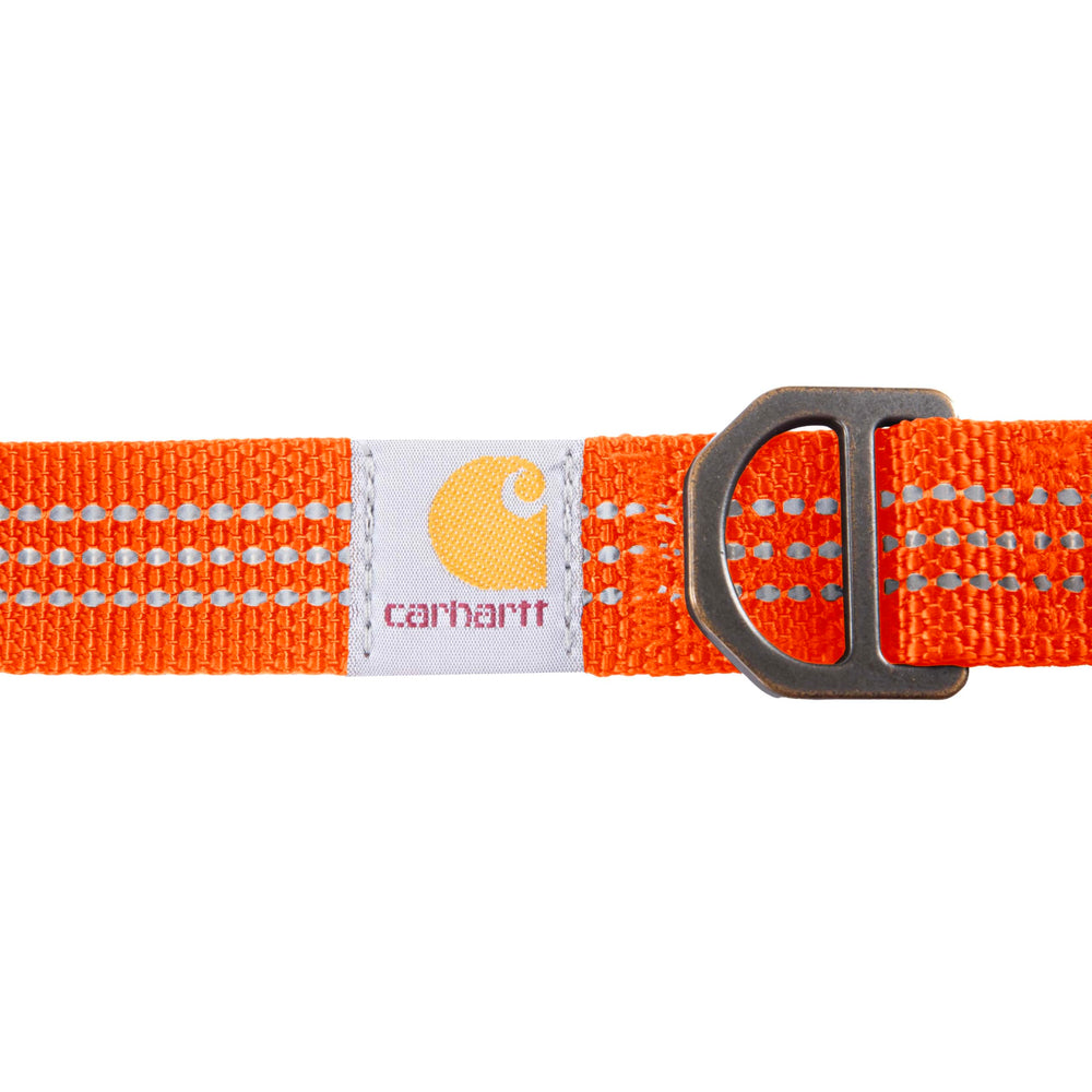 Carhartt collar D-ring with leash and ID tag slots