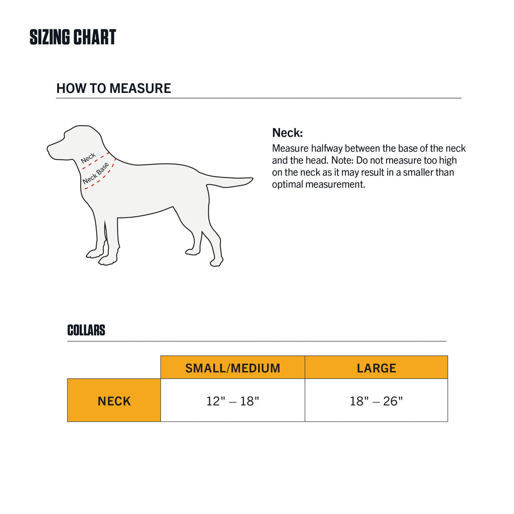 Carhartt light moss color dog collar designed for outdoor use.