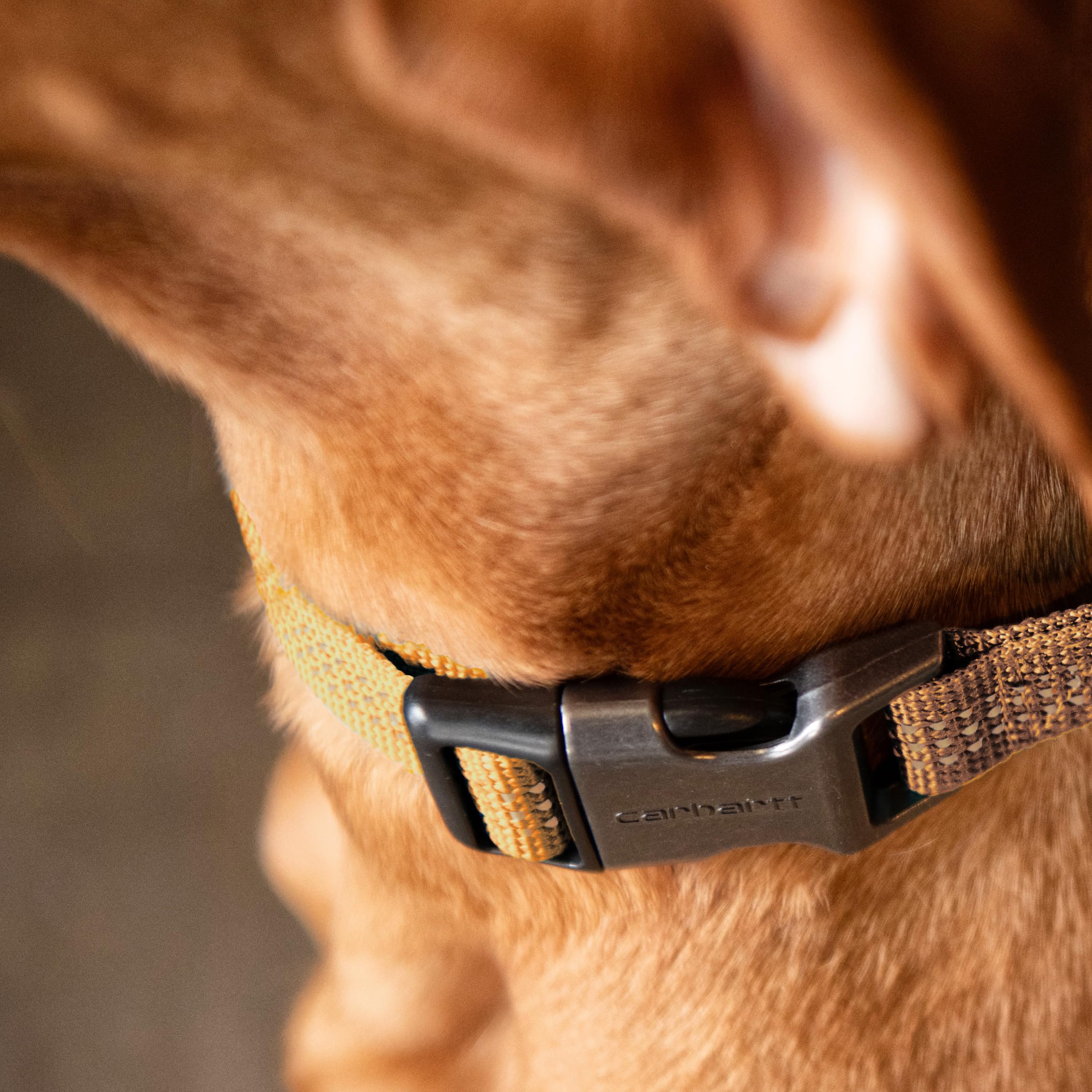 Carhartt dog collar light moss sizing guide helps achieve a proper fit