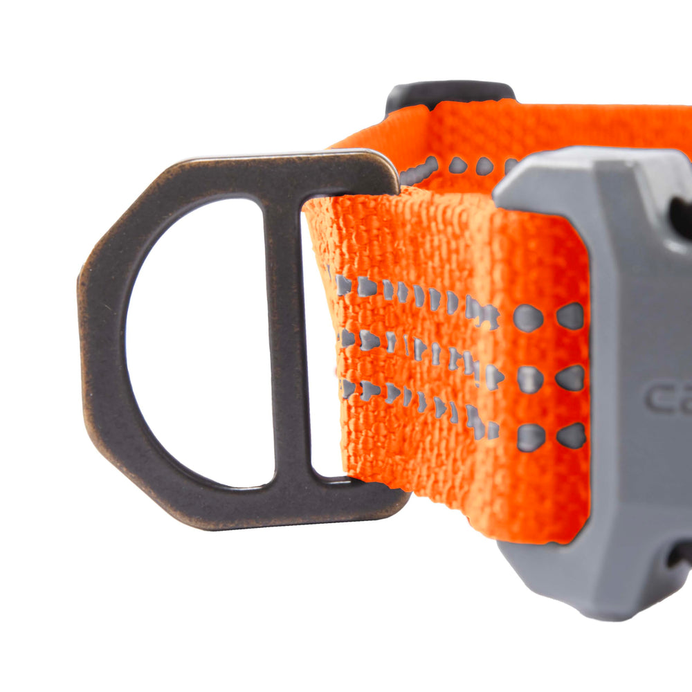 Carhartt collar side-release buckle for quick on and off