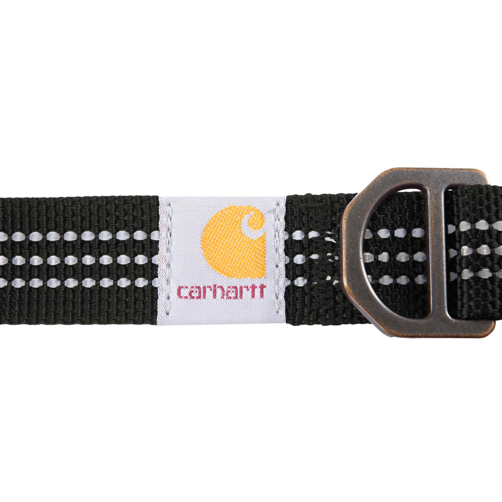 Carhartt dog collar with slotted D-ring keeps leash and tags together