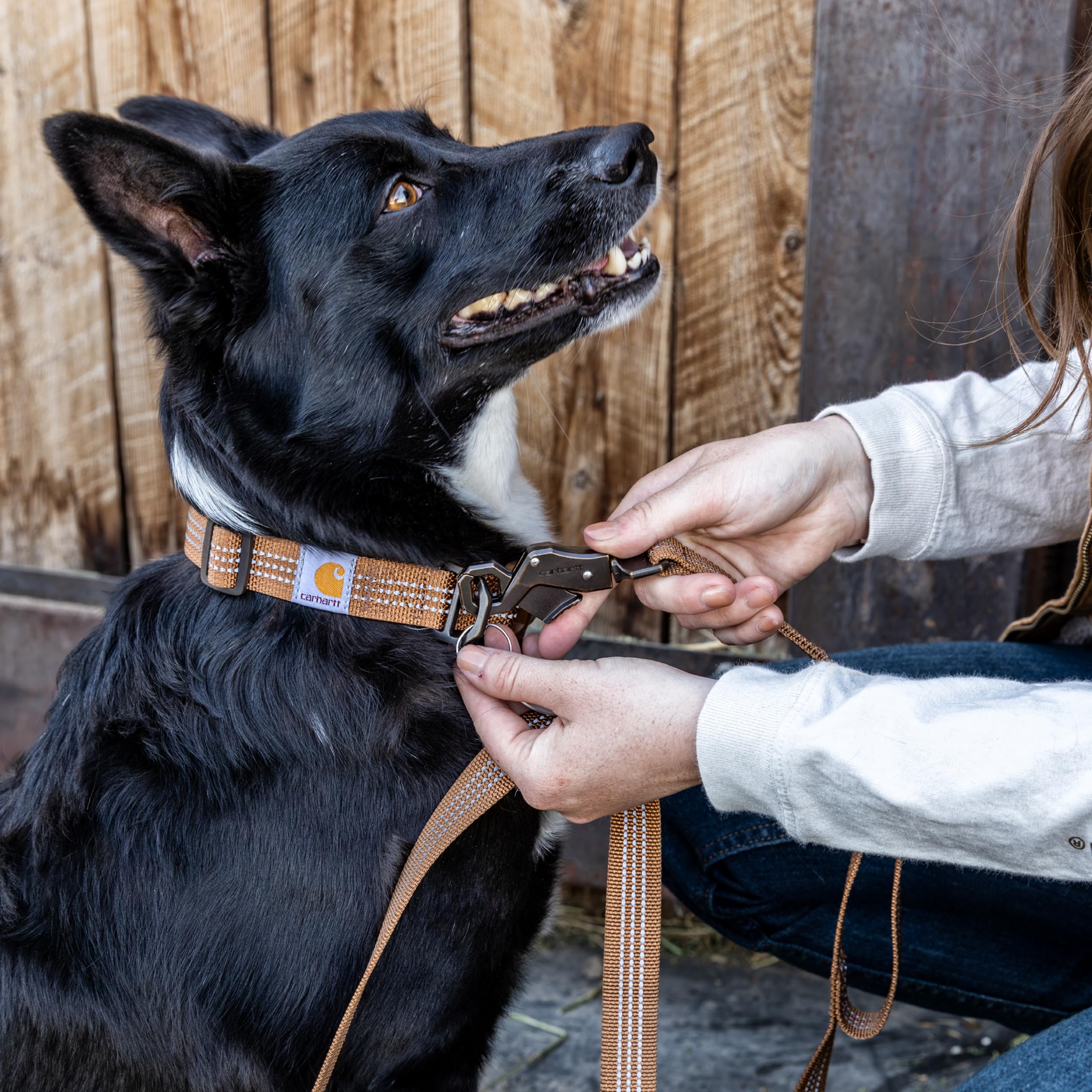 Carhartt Dual Handle Leash uses tough nylon weave for rugged outdoor use