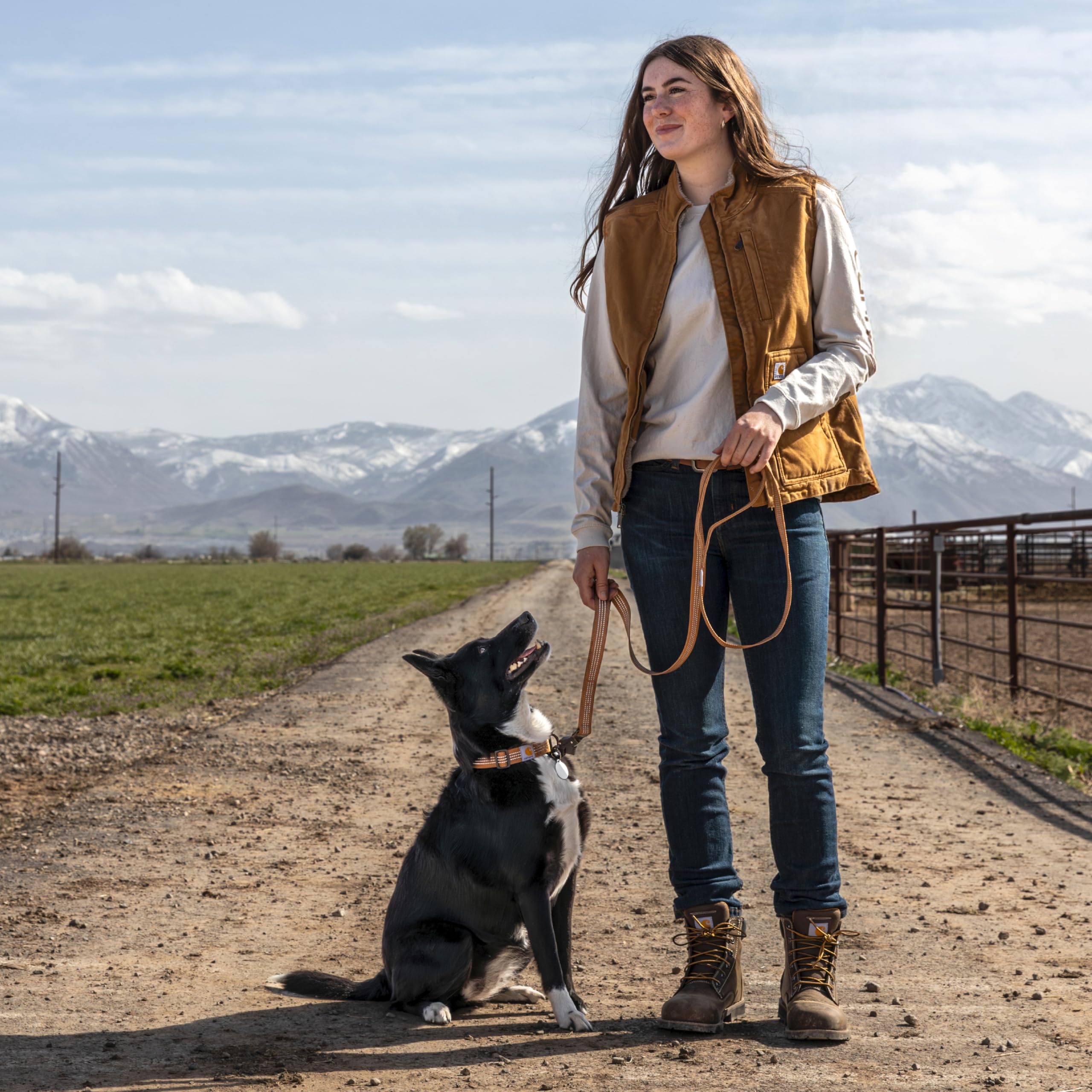 Carhartt Dual Handle Leash reflective details boost visibility in low light