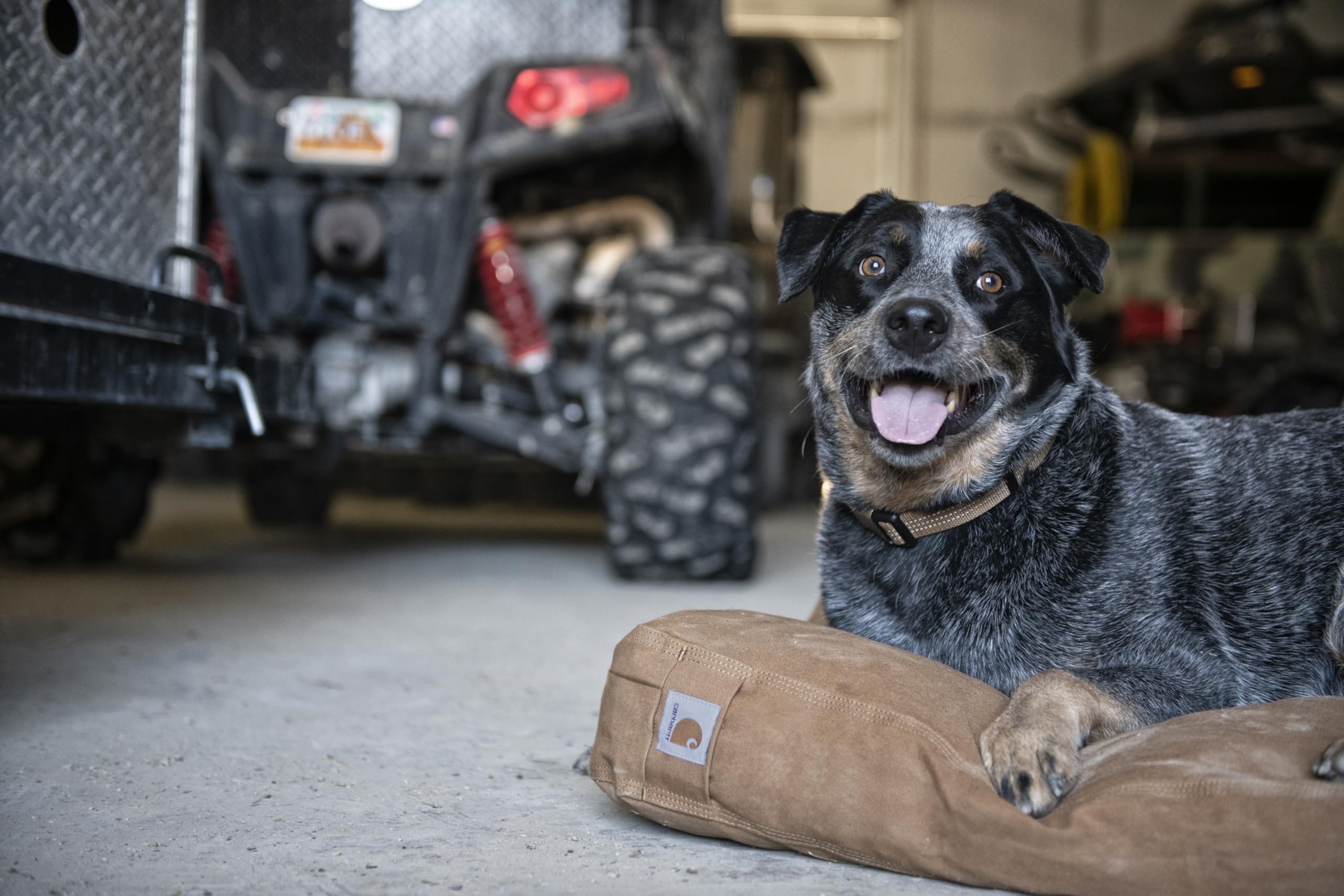 Carhartt Durable Canvas Pet Bed large size 33x41 inches in Carhartt Brown for bigger dogs.