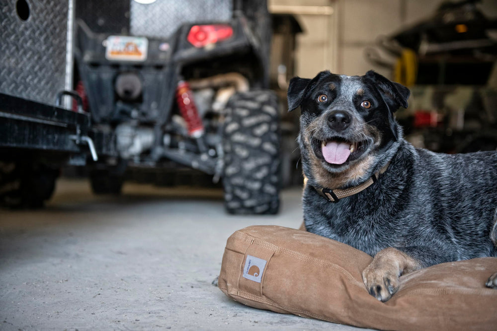 Carhartt Durable Canvas Pet Bed large size 33x41 inches in Carhartt Brown for bigger dogs.