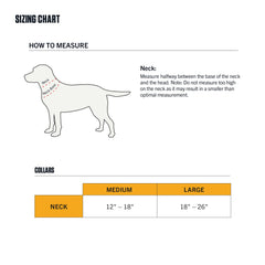 Carhartt Field Dog Collar in rose tint color for daily wear
