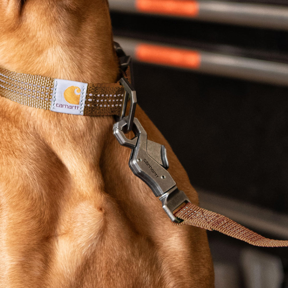 Carhartt large 6 ft nylon leash ideal for daily walks