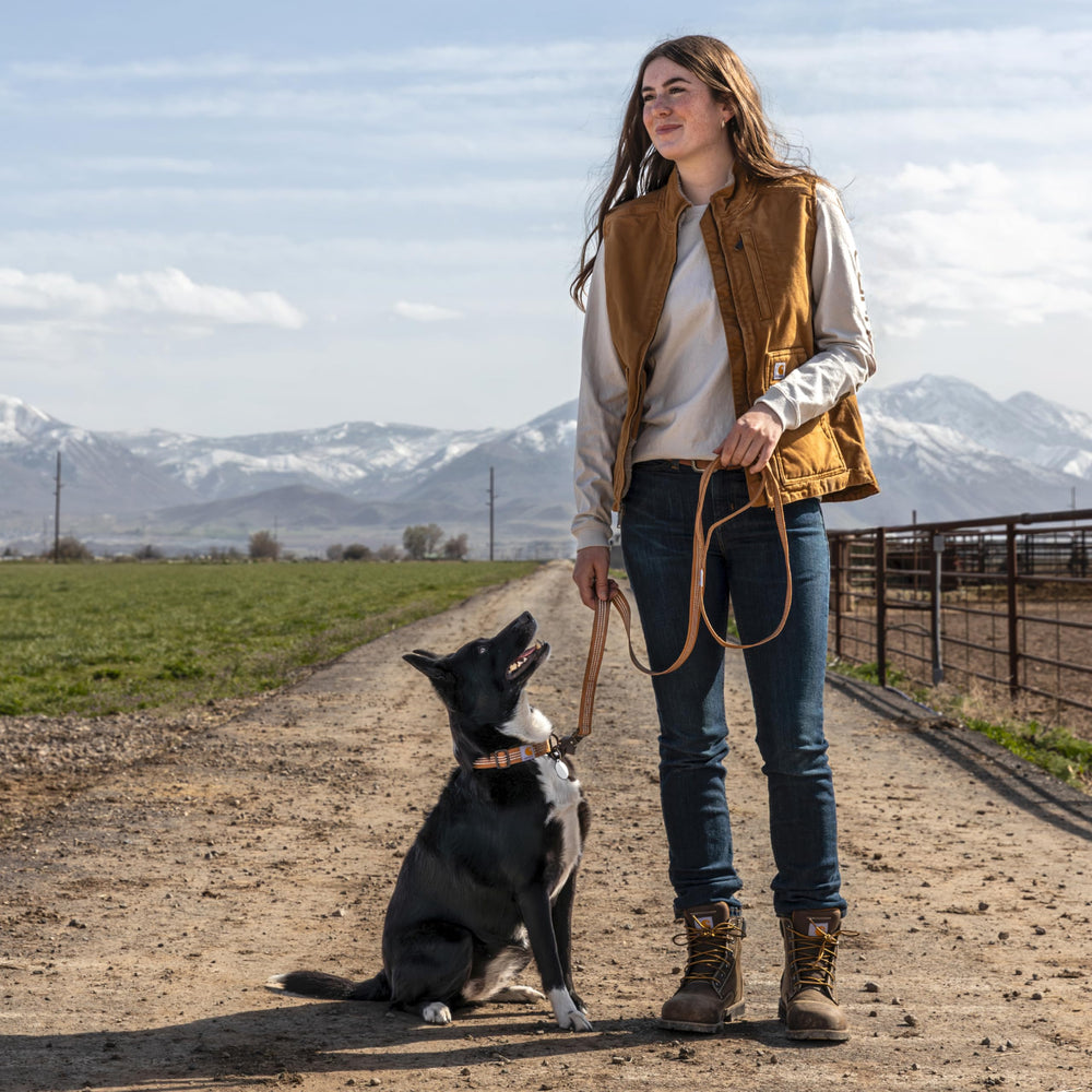 Carhartt leash reflective stitching boosts visibility during night walks.