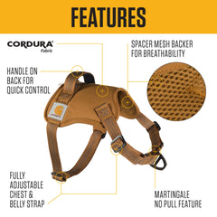 Carhartt No Pull Harness worn by a dog during a calm daily walk.