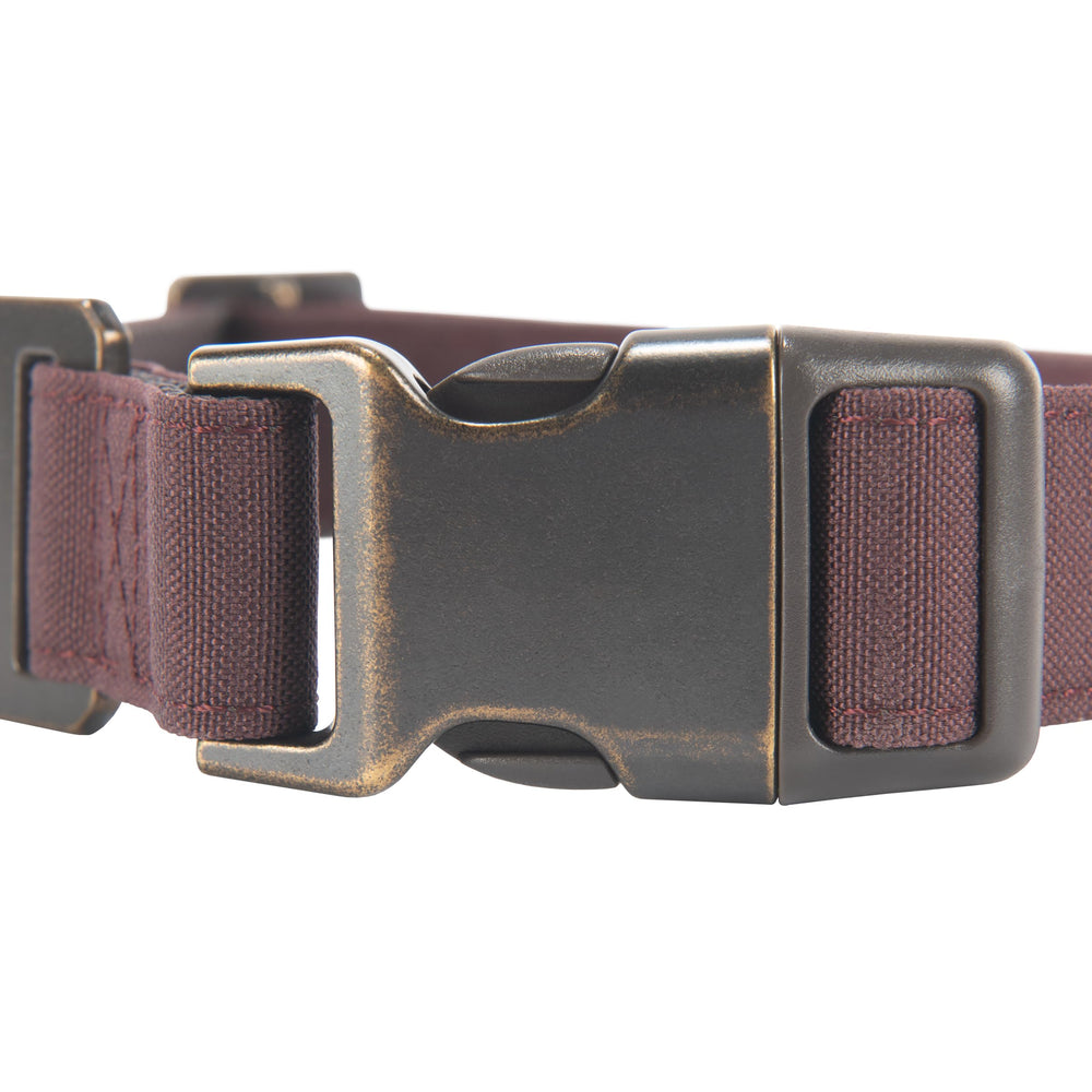Carhartt Collar with reflective strip for improved visibility during night walks.