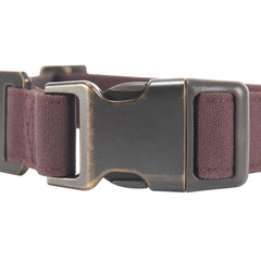Carhartt Collar with reflective strip for improved visibility during night walks.