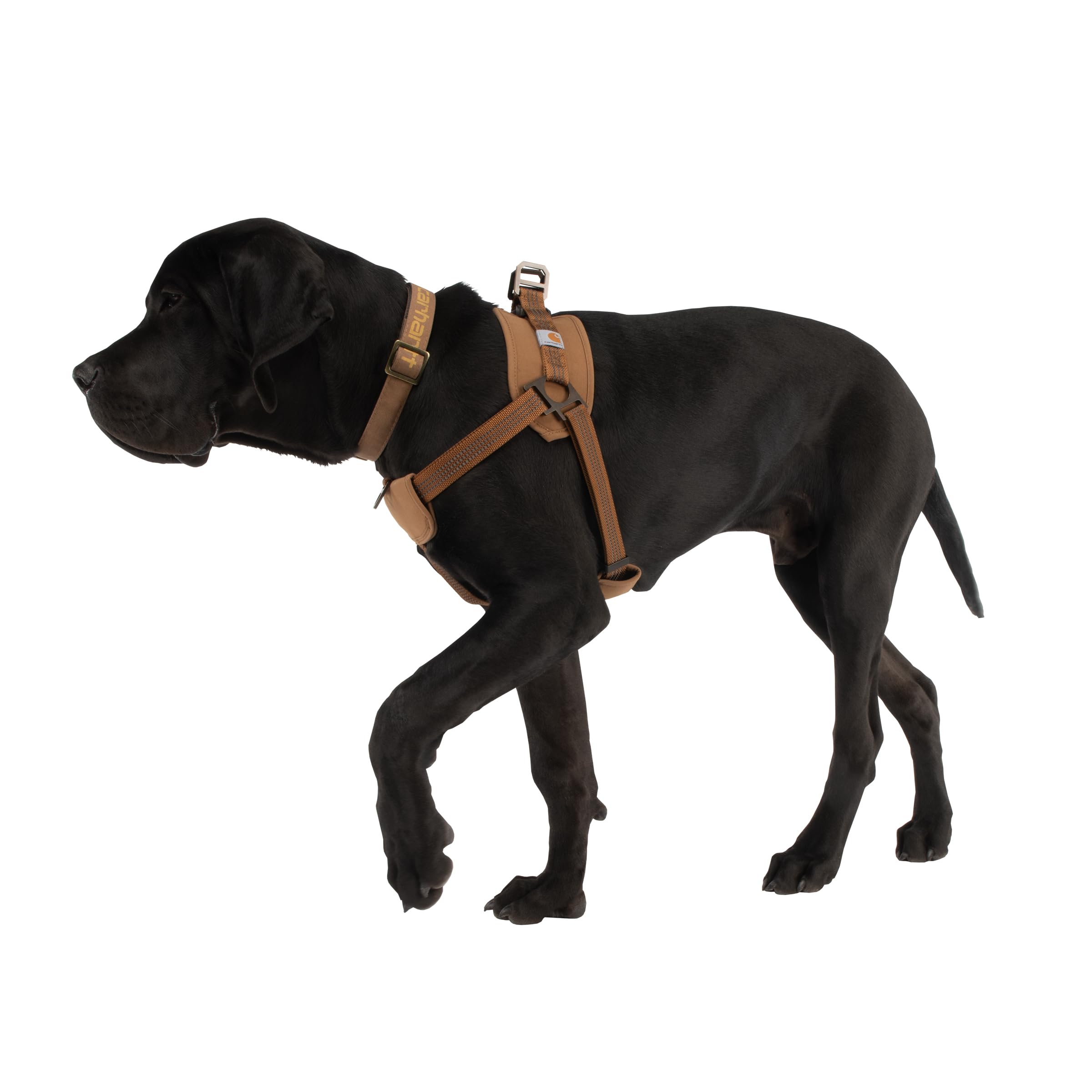 Carhartt Nylon Duck Training Harness's durable duck fabric withstands rugged outdoor workouts.