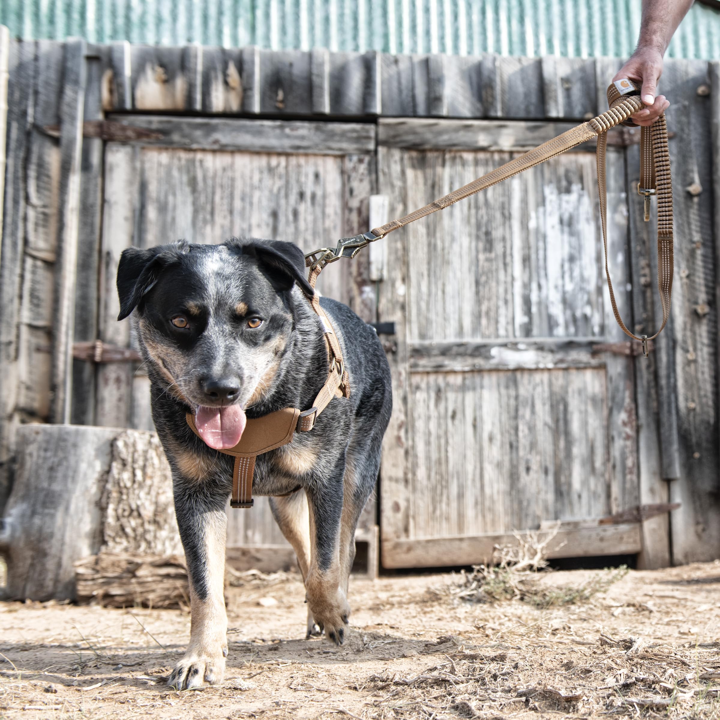 Carhartt Pet Leash has a 6 ft length ideal for everyday walks and quick control.