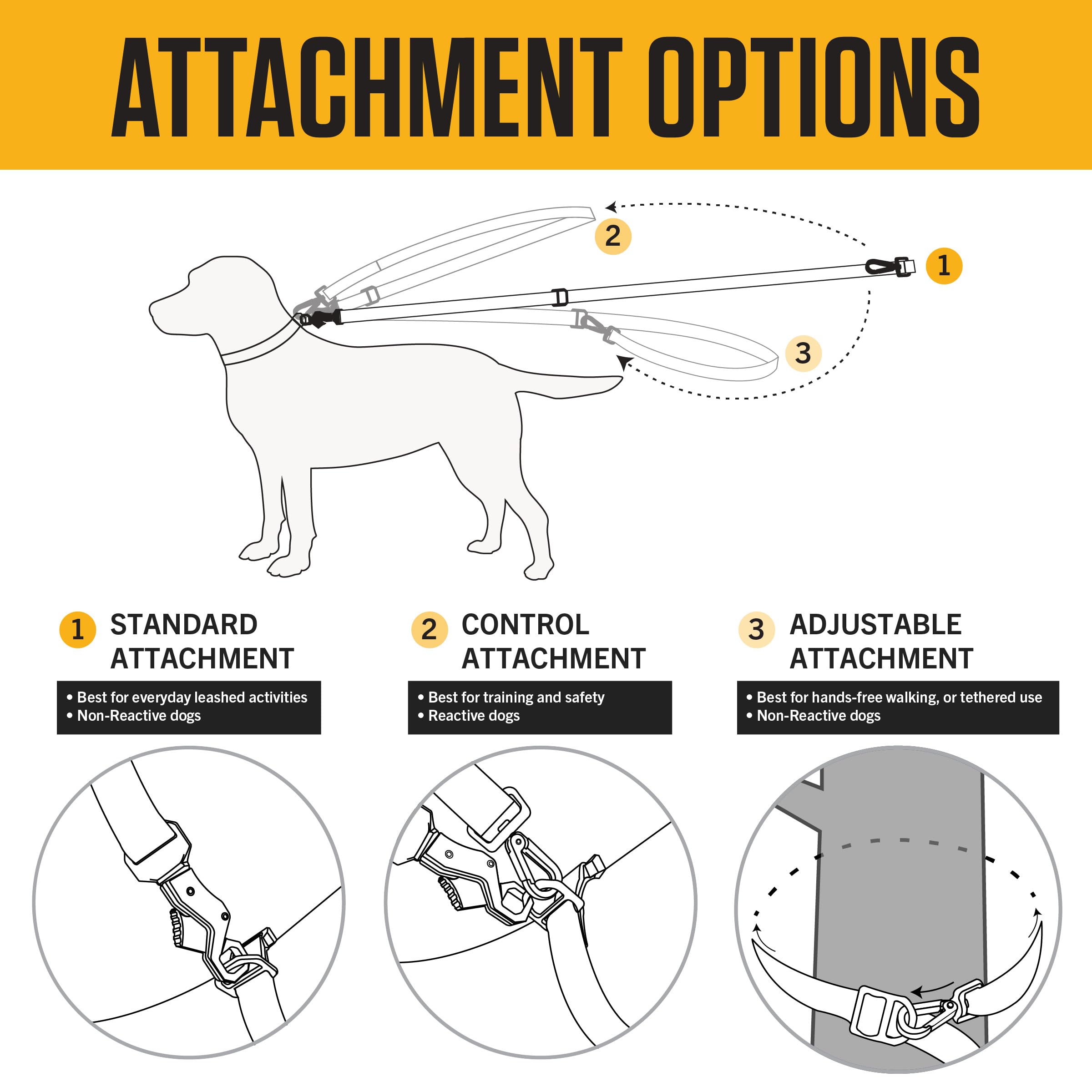Carhartt dog leash with adjustable D-ring for versatile attachment options
