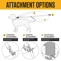 Carhartt dog leash with adjustable D-ring for versatile attachment options