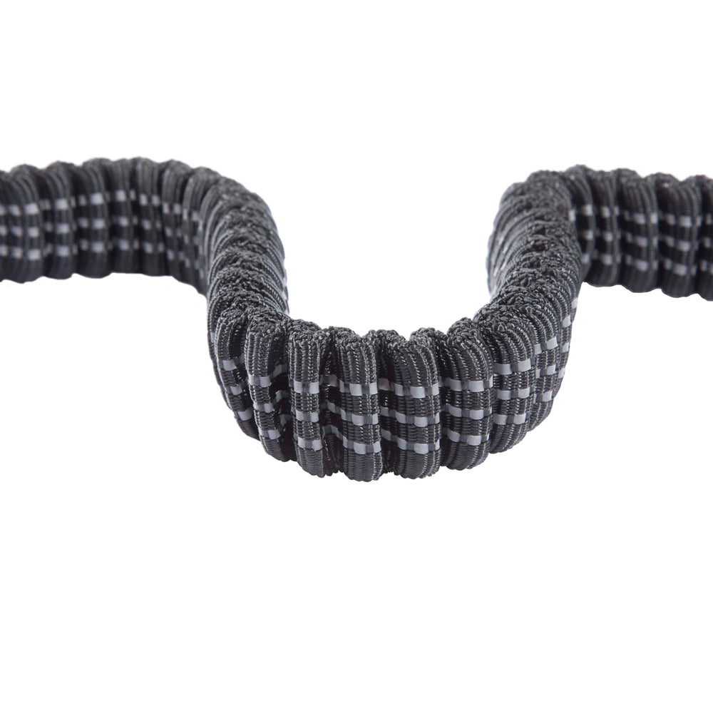 Carhartt Pet Leash features durable nylon duck canvas weave for daily training.