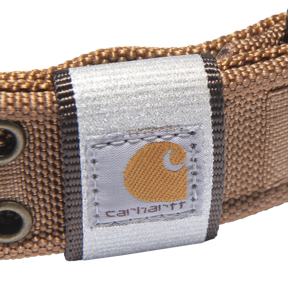 Carhartt Pet wide collar on a dog during a walk, ideal for daily use.