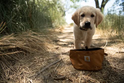 Carhartt Travel Dog Bowl with Cordura nylon shell ready for field use