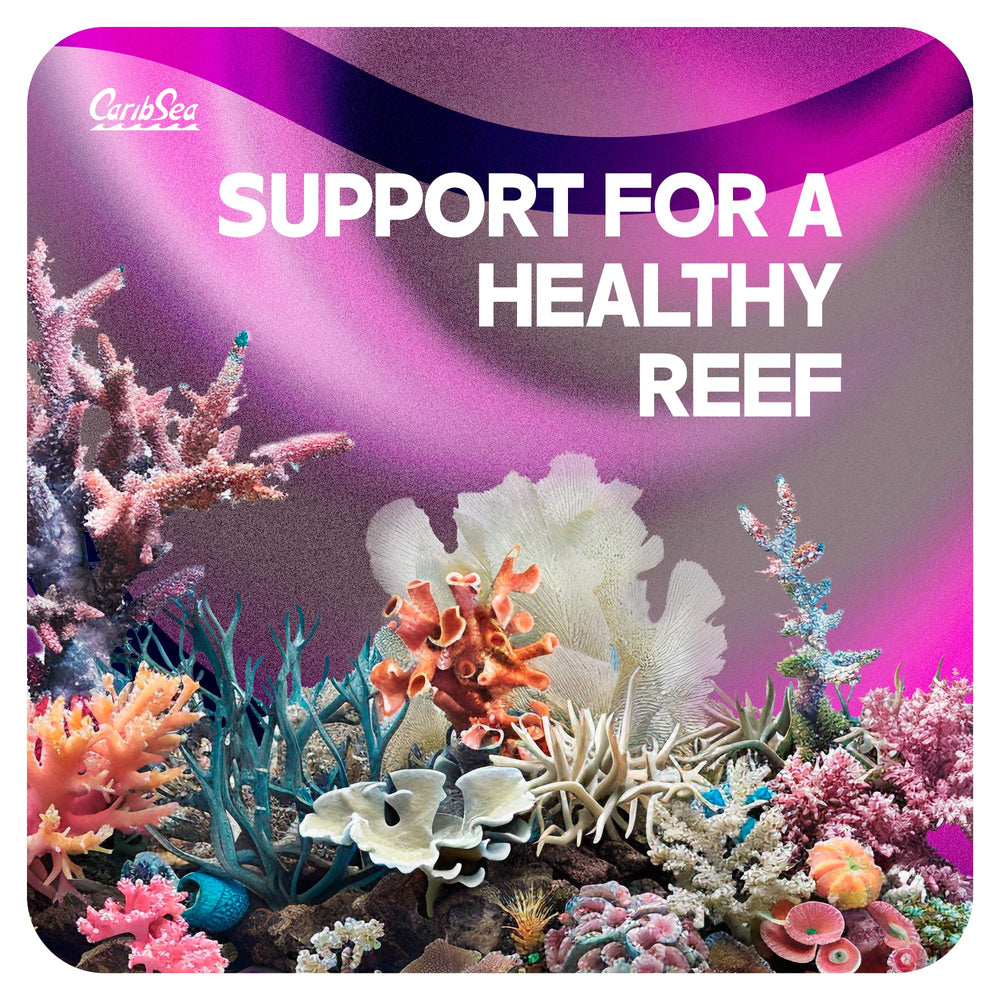 Carib Sea Life Rock Frag Zone natural appearance enhances reef aesthetics while hiding frag infrastructure.