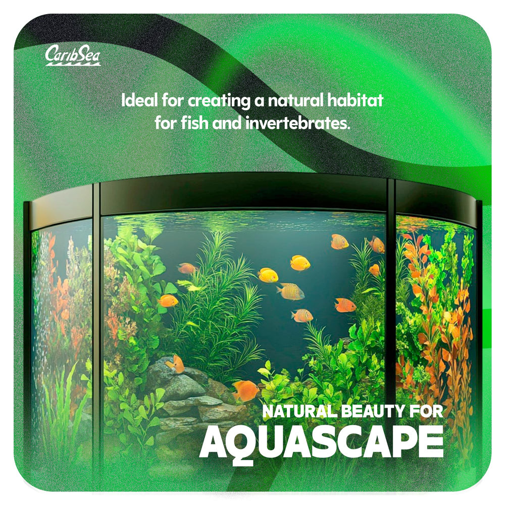 Carib Sea Moonlight Sand is discus-friendly substrate for vibrant freshwater displays.