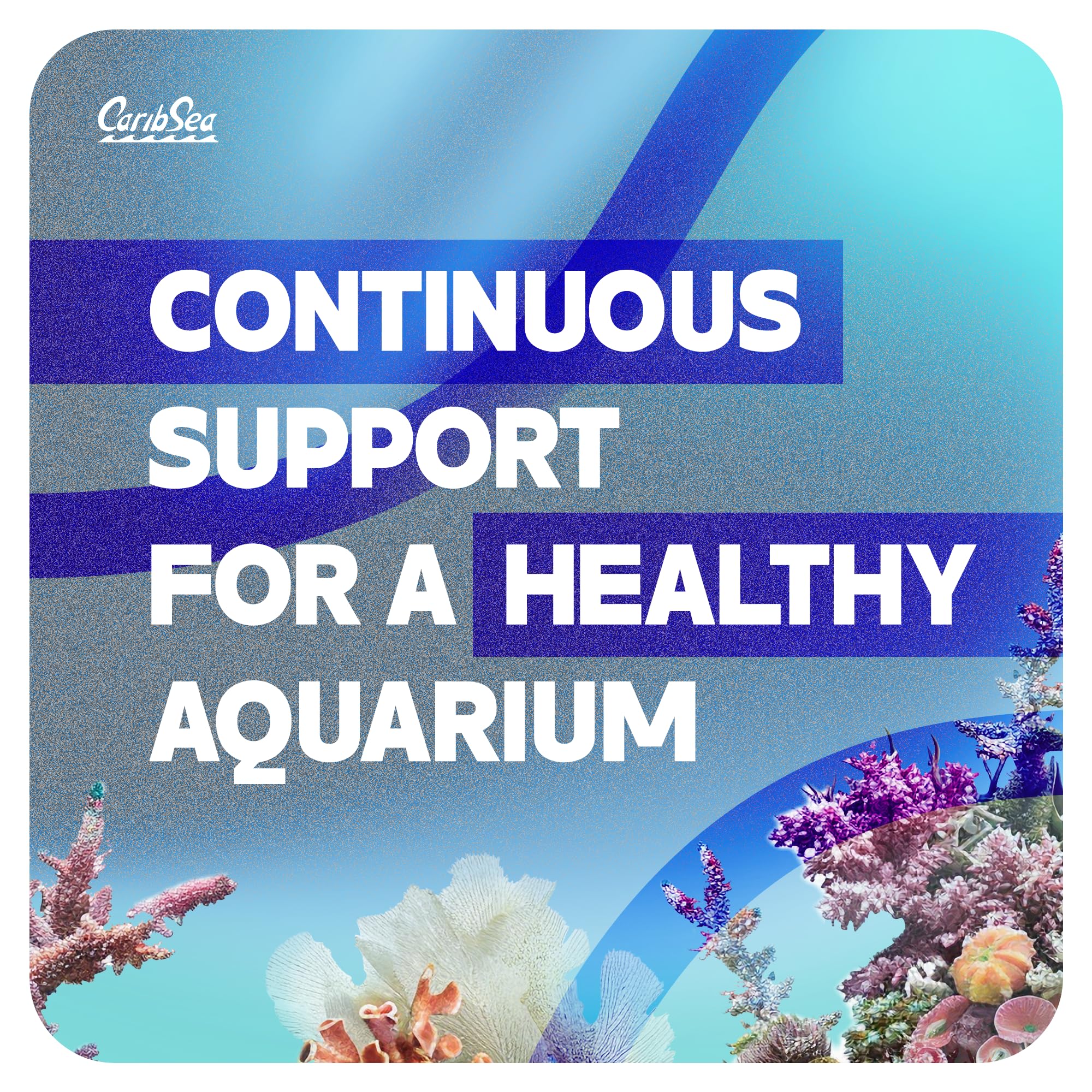 Carib Sea Purple Up during maintenance supports consistent coralline growth