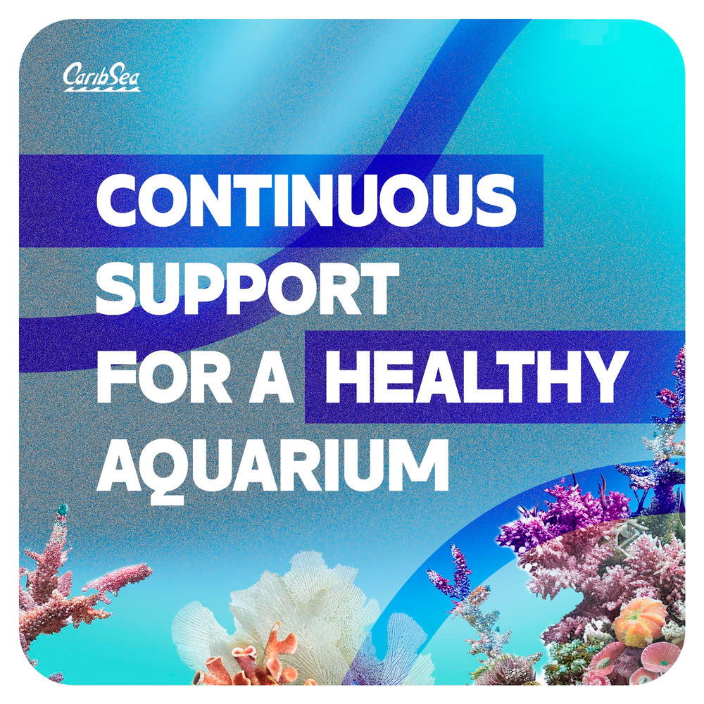 Carib Sea Purple Up during maintenance supports consistent coralline growth