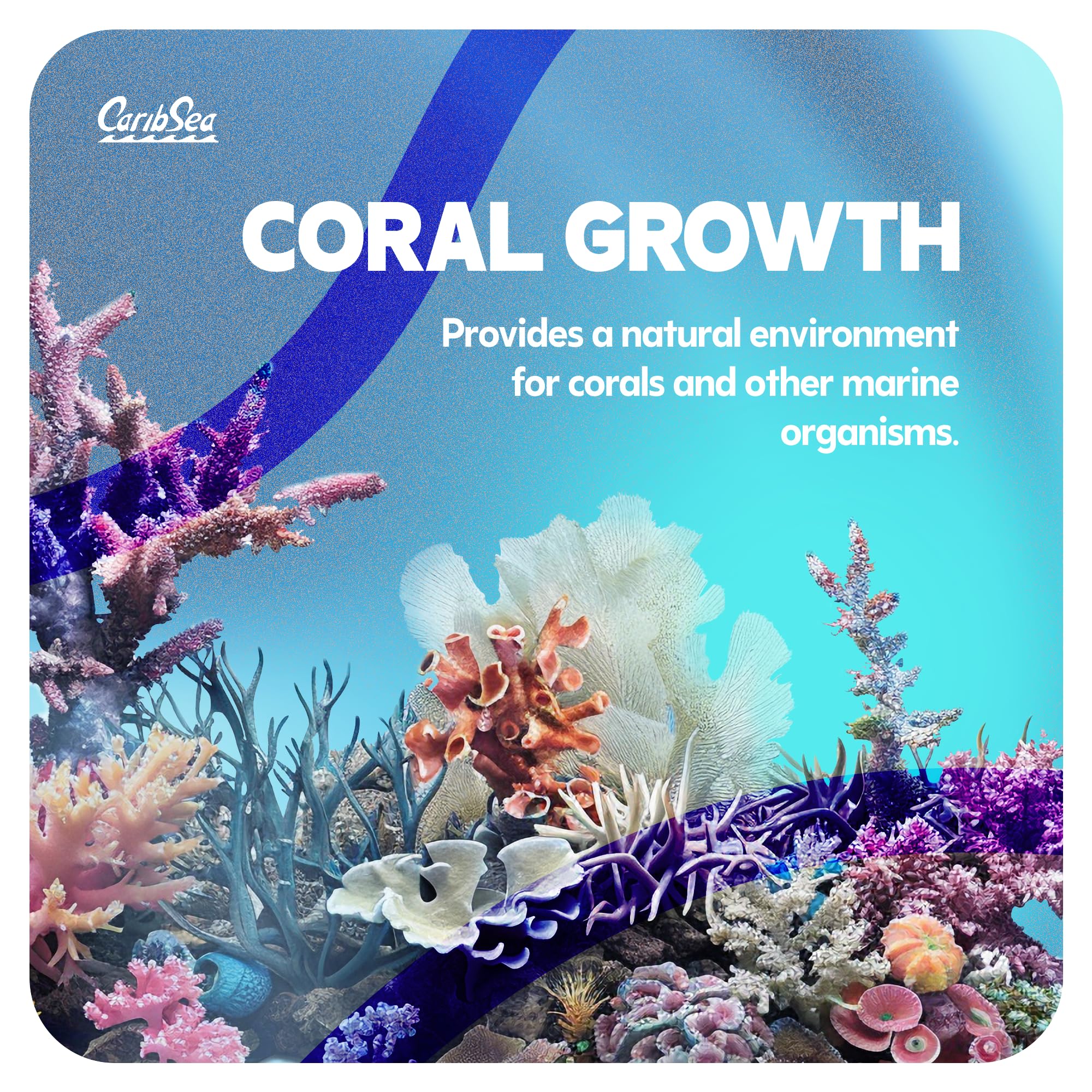 Carib Sea Purple Up used in a display tank supports a healthy ecosystem