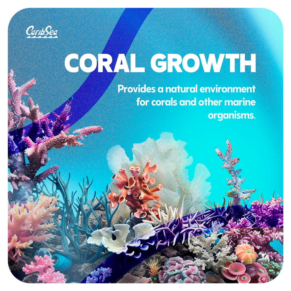 Carib Sea Purple Up used in a display tank supports a healthy ecosystem