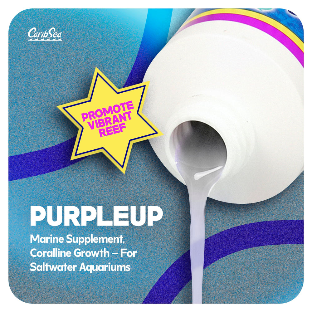 Carib Sea Purple Up enhances coralline colors in marine aquariums