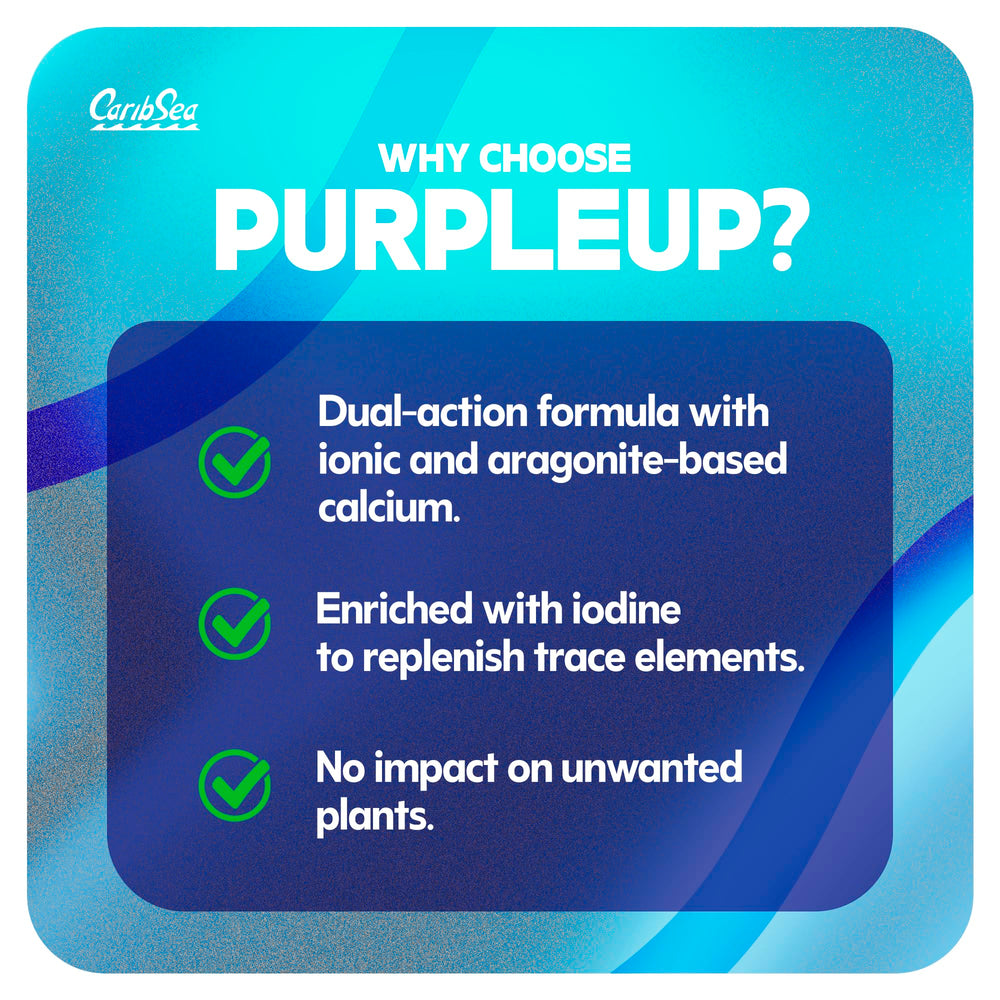 Carib Sea Purple Up being dosed into a reef tank supports calcium balance