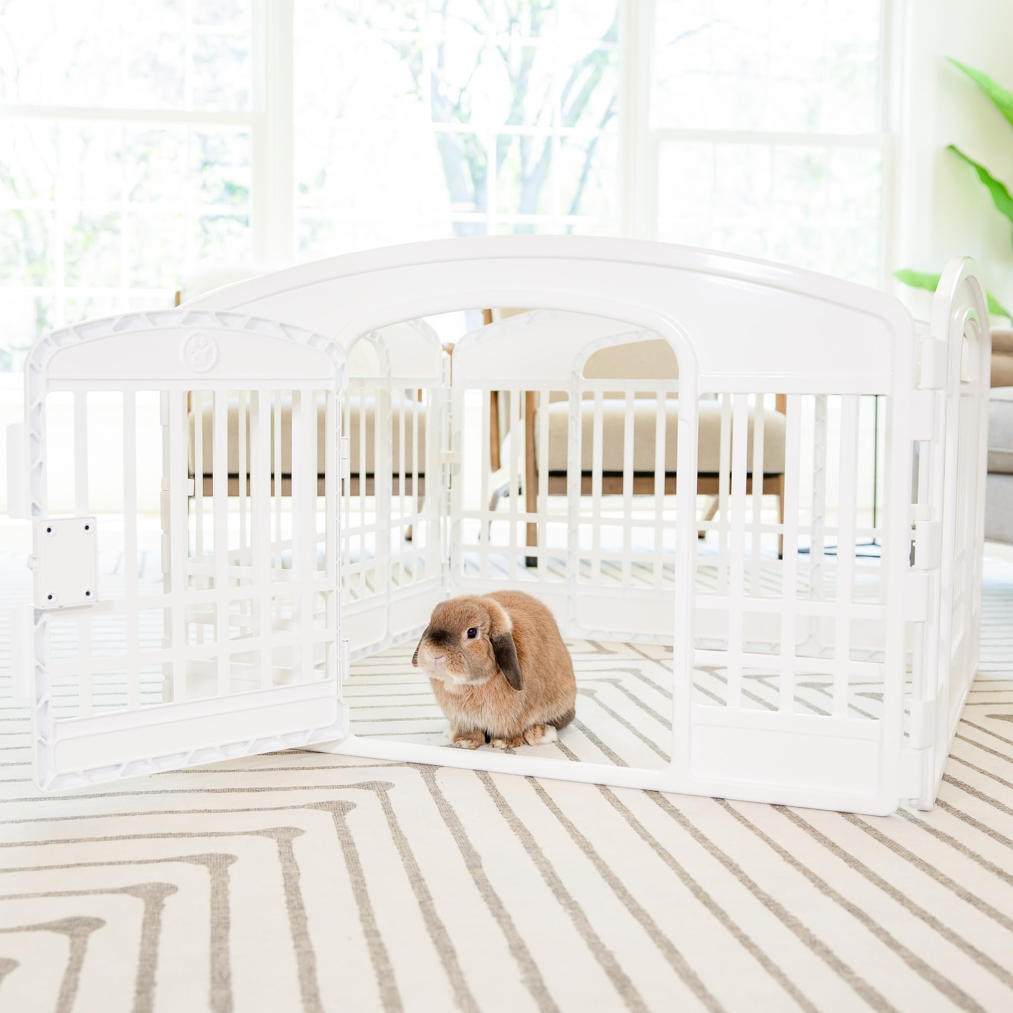 Carlson 4-Panel Pet Pen compact and portable for small spaces.