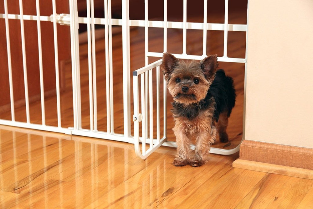 Carlson Lil Tuffy with small pet door lets pets through safely.