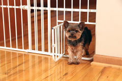 Carlson Lil Tuffy with small pet door lets pets through safely.