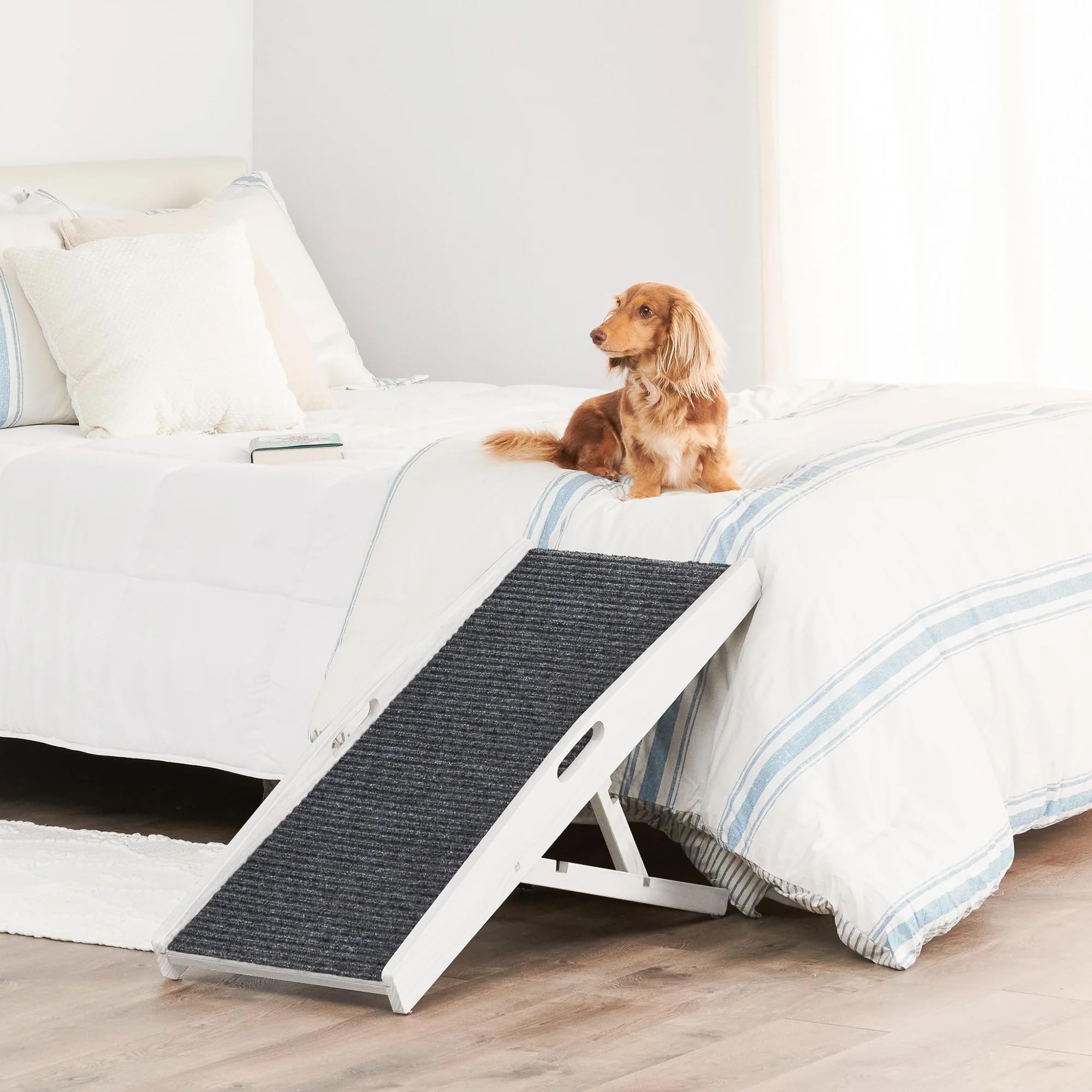 Carlson pet ramp with adjustable height for different surfaces.