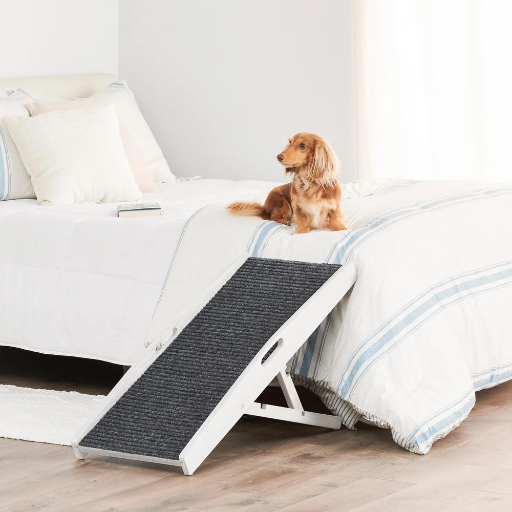 Carlson pet ramp with adjustable height for different surfaces.