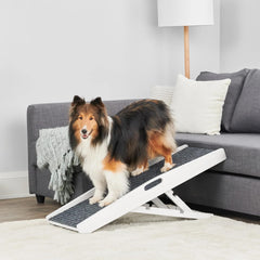 Carlson pet ramp on bed access for easy, low-effort climbs.