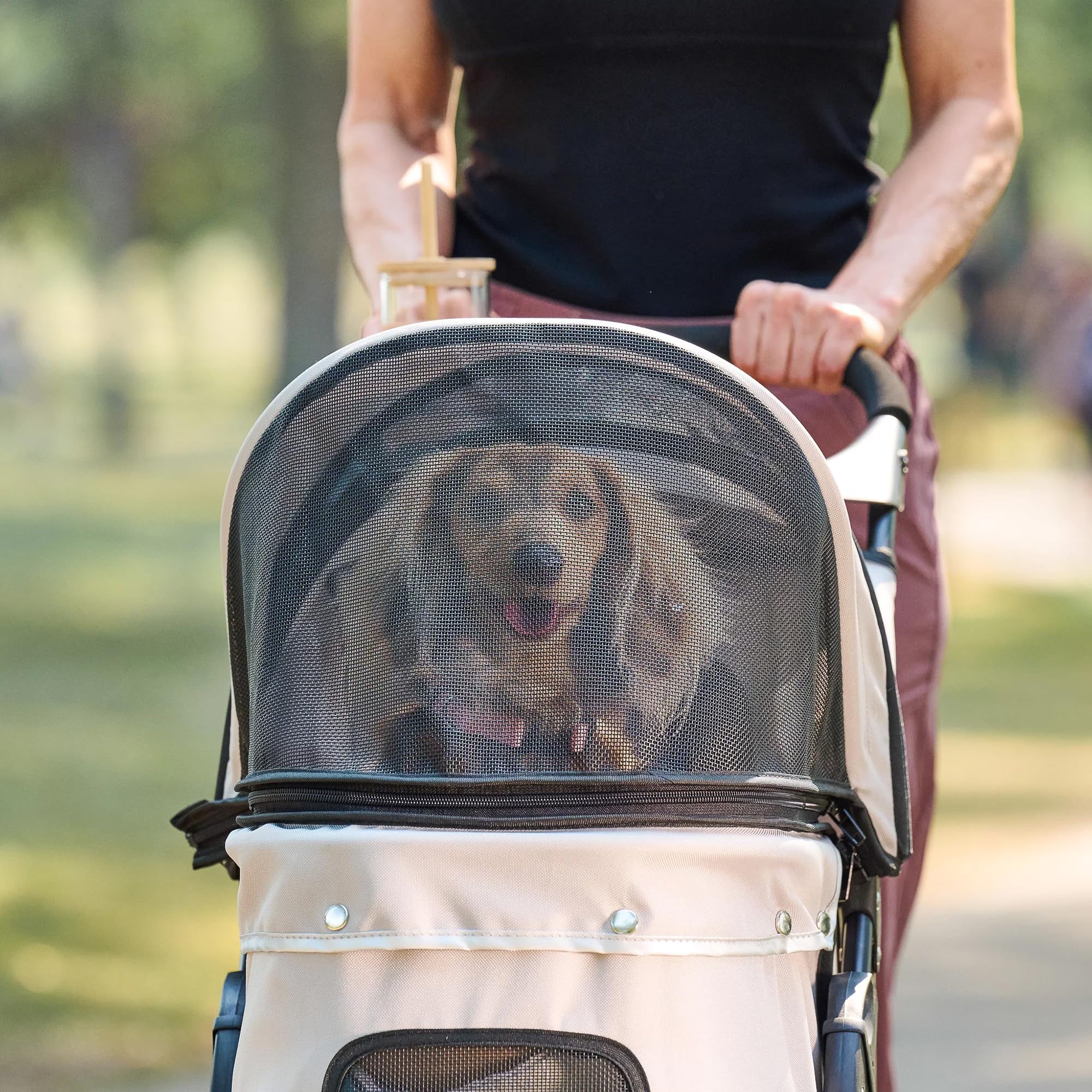 Carlson Pet Stroller with reflective trim for better visibility in low light.