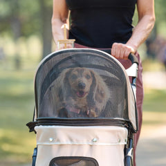 Carlson Pet Stroller with reflective trim for better visibility in low light.