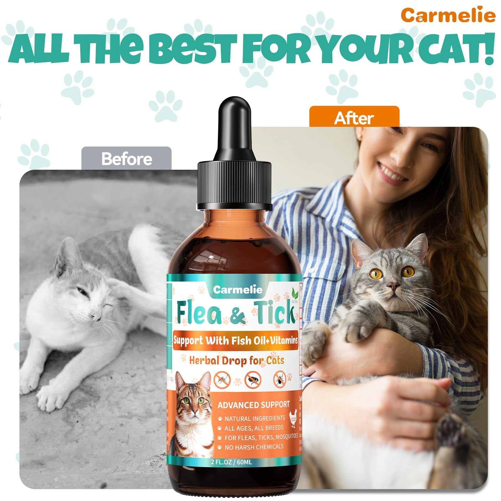 Carmelie all-breeds-cat image implies suitability for kittens to seniors.
