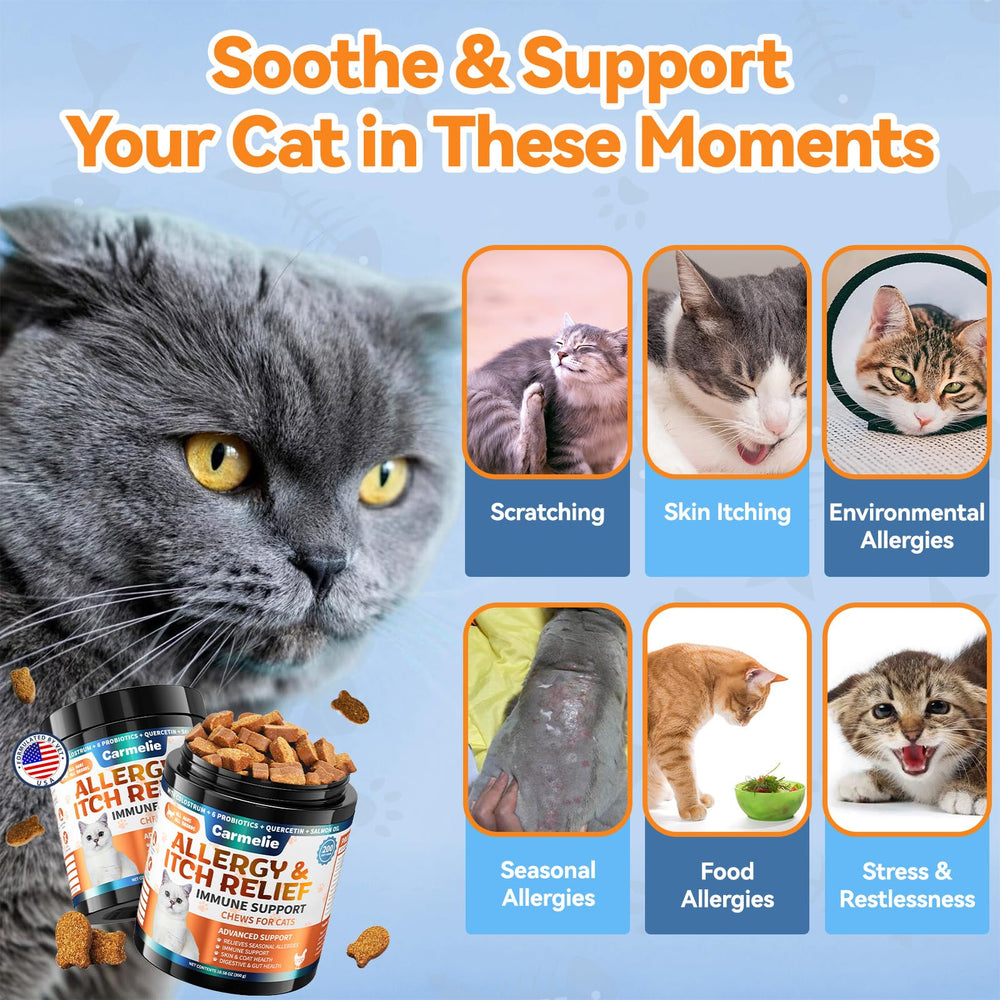 Carmelie Cat Allergy Chews skin health benefits shown by a glossy coat.