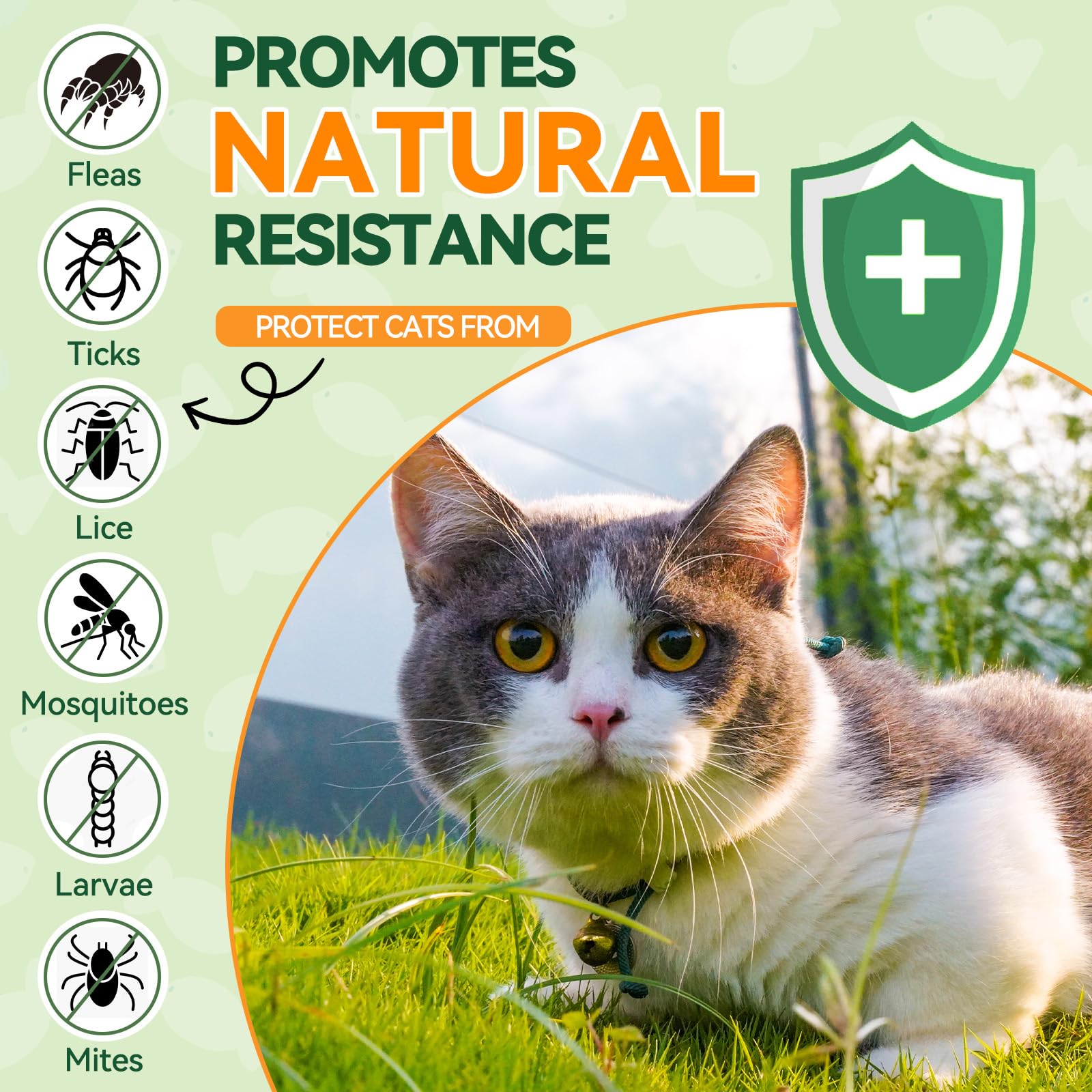 Carmelie cat chews display a treat-like form to encourage regular use