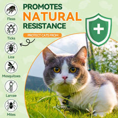 Carmelie cat chews display a treat-like form to encourage regular use