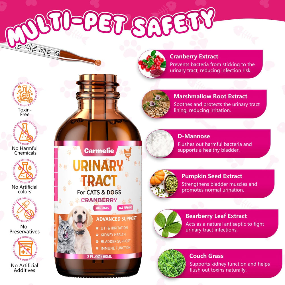 Carmelie drops with paw focus, easy daily pet care