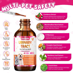 Carmelie drops with paw focus, easy daily pet care