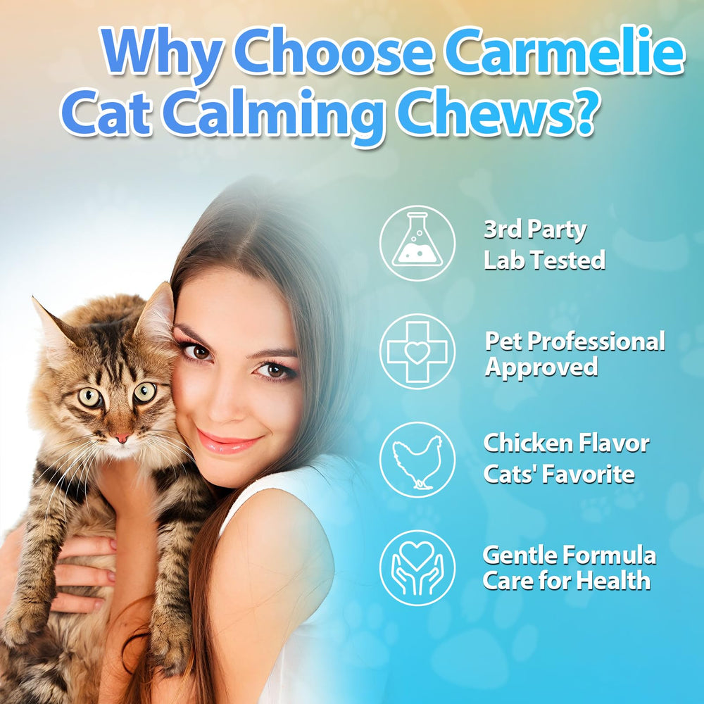 Young cat enjoying Carmelie calming treats during grooming