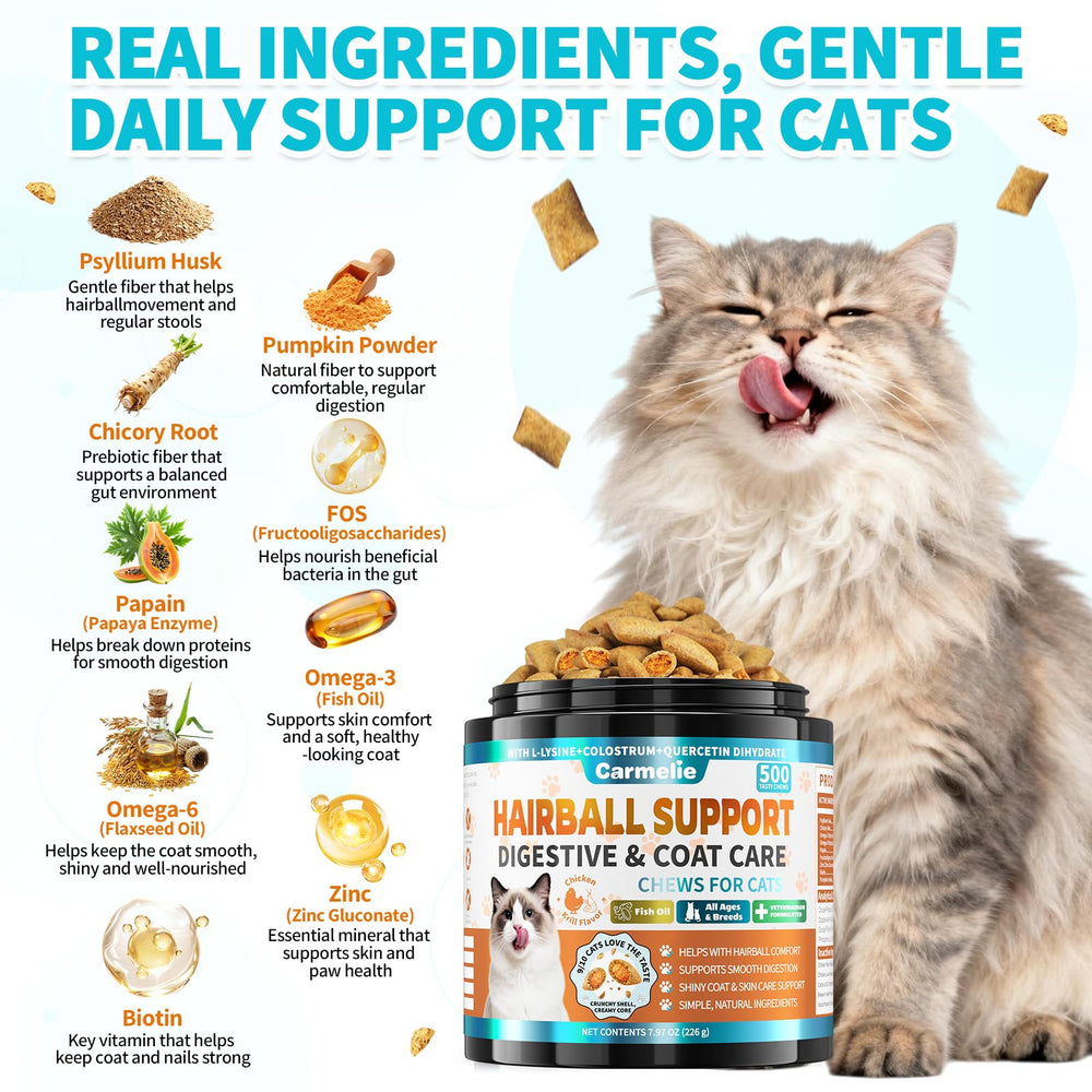 Carmelie coat-care support reduces loose fur during brushing sessions.