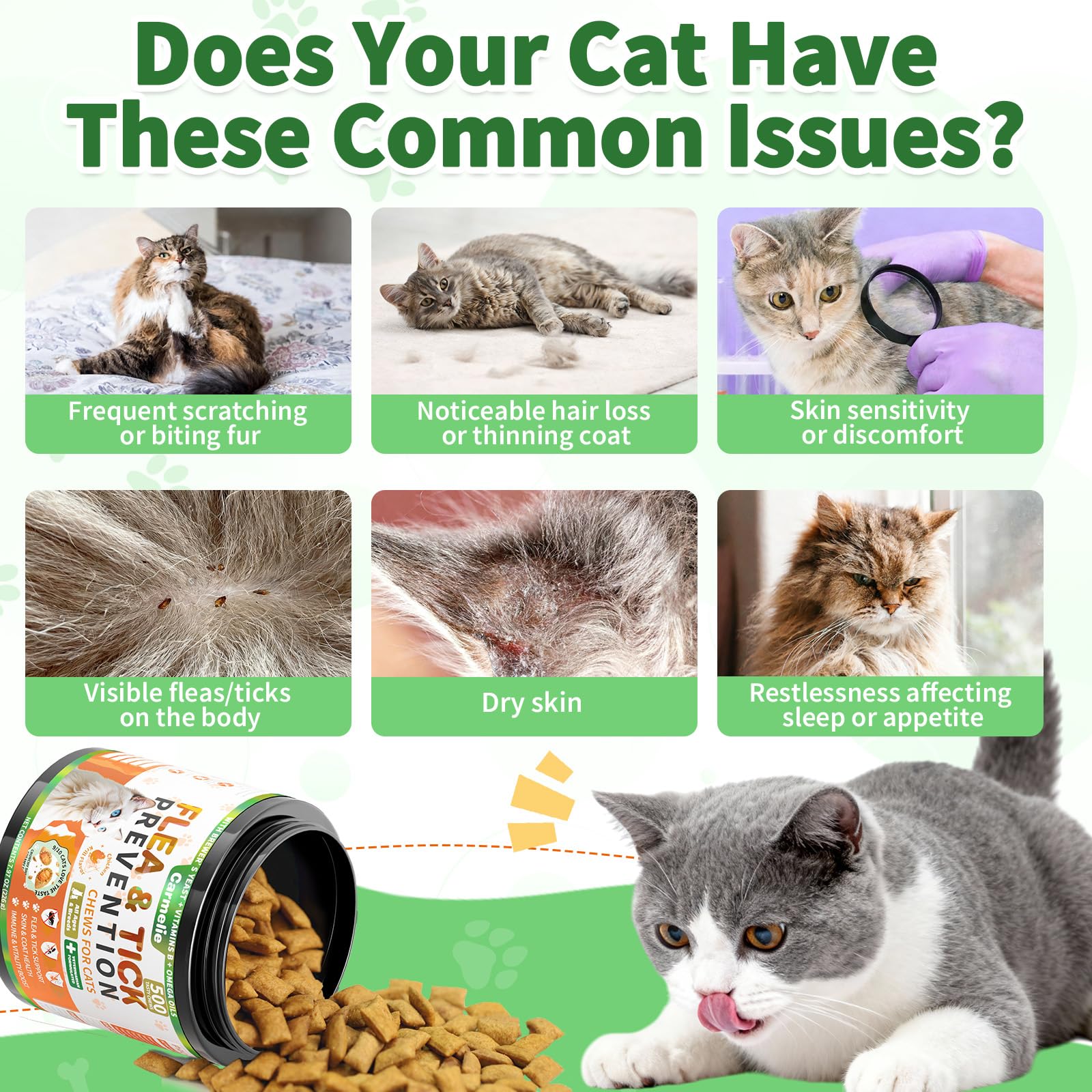 Carmelie daily cat treat packaging shows 500 chews